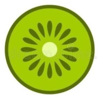 kiwitech.in logo - Similar company to Escape Puzzles