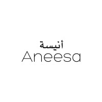 Aneesa logo - Similar company to Lunar Trading International