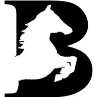 Blackcoffer logo - Similar company to Analytics Vidhya