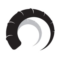 Blackhorn Wealth Management logo - Similar company to Yunfeng Financial Group