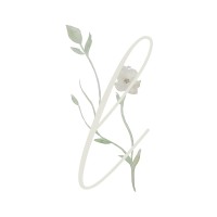 Lincs Weddings logo - Similar company to Service Design North Ltd