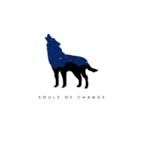 Souls Of Change logo - Similar company to Ai Technologies