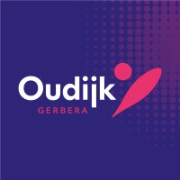 Oudijk Gerbera logo - Similar company to Knowwhy.