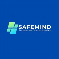 SAFEMIND logo - Similar company to Barak Consulting