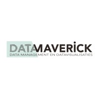 DATAMAVERICK logo - Similar company to Data Mavericks
