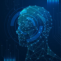 Digitalfeeders logo - Similar company to Spearmint Traders