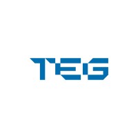 TEG - Technological Electric Group LTDA logo - Similar company to Govtools