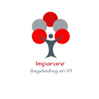 Imparare Begeleiding en RT logo - Similar company to Level Software & Consultancy