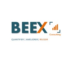 BEEX Consulting logo - Similar company to Biox