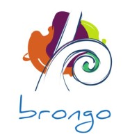 Brongo Srl logo - Similar company to Bluecotech