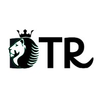 DropTop Royale logo - Similar company to Advibe Agency