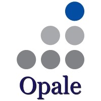 Translation Service Opale logo - Similar company to Neat Nordic Editors & Translators Ry