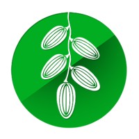 Ajwa Studio logo - Similar company to Stackatech Info Labs Pvt Ltd.