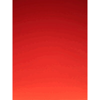 . logo - Similar company to Indigène - Savonnier De Nature