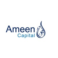 Ameen Capital logo - Similar company to Analyzemarkets