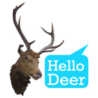 HELLO DEER STUDIOS logo - Similar company to Acclaimed Content