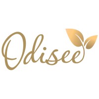 Odisee logo - Similar company to Des'S Group