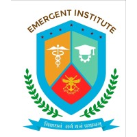 Emergent Institute logo - Similar company to Musale Classes - India