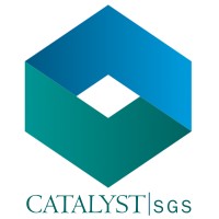 Catalyst School Latam logo - Similar company to V As Pandit