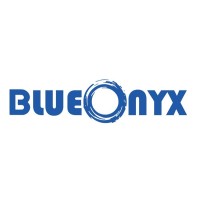 Blue Onyx Systems logo - Similar company to Turn-Key Solutions