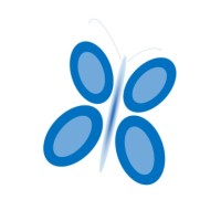 Blue Morpho Group, Inc. logo - Similar company to Inspired It Group