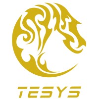 Tesys Boat International logo - Similar company to Wigotn