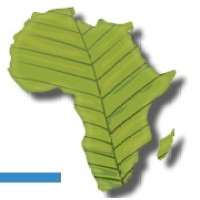 ASSET Research logo - Similar company to Perficient Clinical