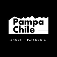 Pampa Chile logo - Similar company to Chinook Analytics