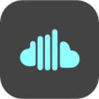 Cloud 2 BI logo - Similar company to Audit & Co