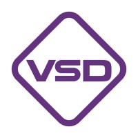 VSD Audit and Assurance Co., Ltd. logo - Similar company to Sota Professional Limited