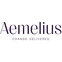 Aemelius Group logo - Similar company to Teamr3