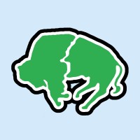 Buffalo Air Express logo - Similar company to Plane Savers