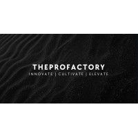 TheProFactory logo - Similar company to The Social Sisters, Llc