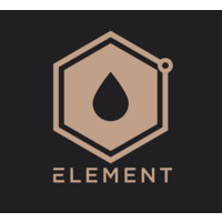 Element GP Inc. logo - Similar company to Kb Life Pharmaceuticals Ltd