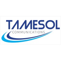 Tamesol Communication PLC logo - Similar company to Devshop Studio