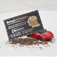 Marinotti & Partners logo - Similar company to Terracube Srl
