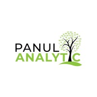 Panul Analytic logo - Similar company to Evalc Ltda.