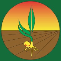 AgroSuporte Cristalina logo - Similar company to Coacris - Cooperativa Agrícola Serra Dos Cristais