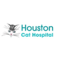 Houston Cat Hospital