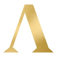 Any Ever Gmbh & Co. Kg
