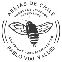 Abejas de Chile logo - Similar company to Lagar De Codegua | Chile