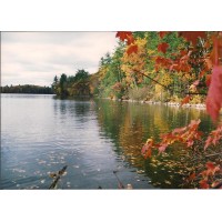 Waters Edge Realty