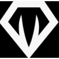 Diamond Sport s.r.o. logo - Similar company to Ofis A.S.