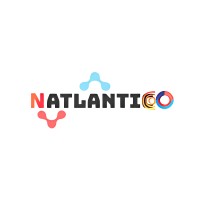 Natlantico logo - Similar company to Vulmon
