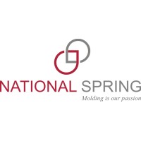 National Spring logo - Similar company to Konsio Limited