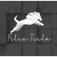 FélixTesla.com logo - Similar company to Evalconnect