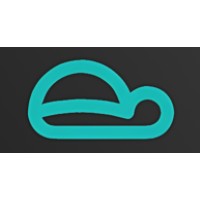 Turtlevest logo - Similar company to Global Visioneers