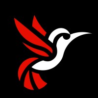 Nuvotion Visuals logo - Similar company to Streamu