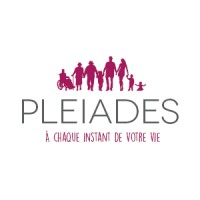 Pleiades logo - Similar company to Brg Emballages