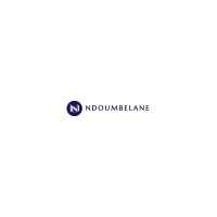 Groupe Ndoumbelane logo - Similar company to Groupe Nduom